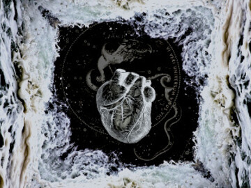 Exposição de Pedro Alves da Veiga