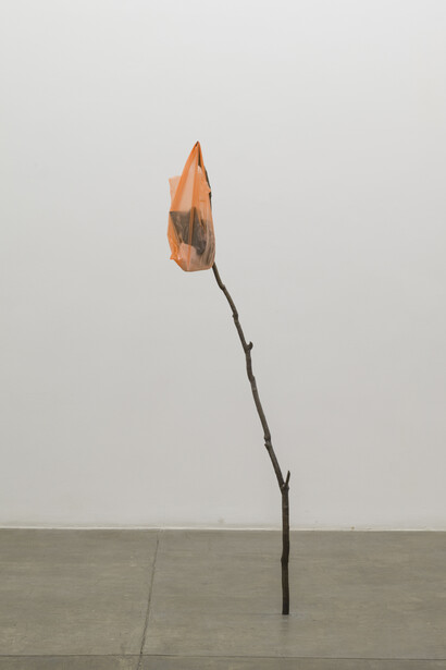 Armando Andrade Tudela, Vista da exposição