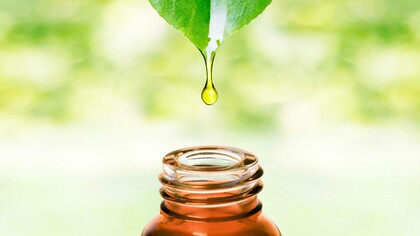 Gli oli essenziali sono concentrati vegetali 