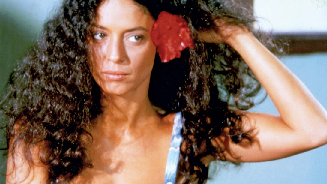 Sonia Braga em Gabriela, Cravo e Canela 
