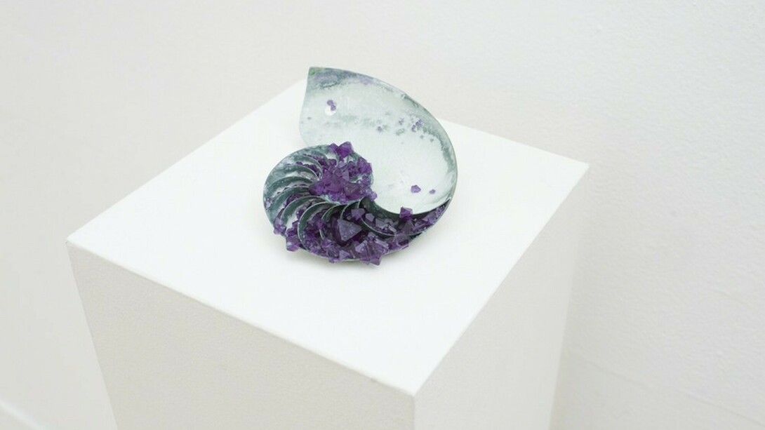 Lush Life, Exhibition view. Courtesy of Hashimoto Contemporary