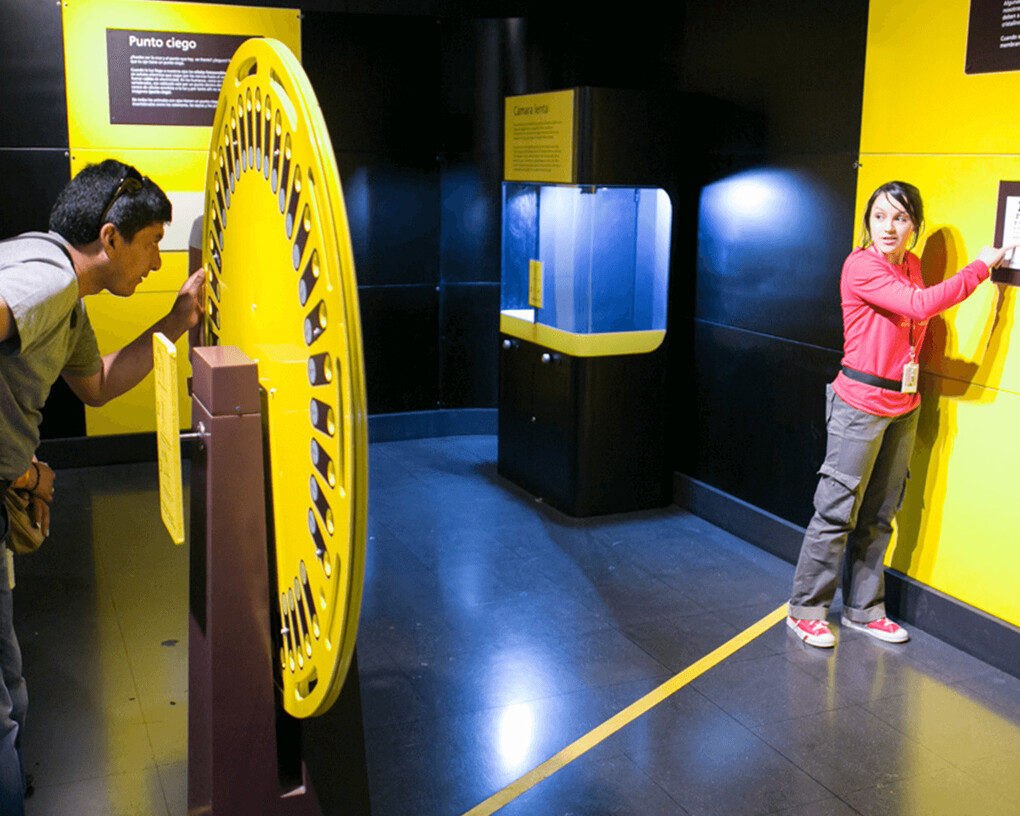 Física Viva. Courtesy of Parque Explora