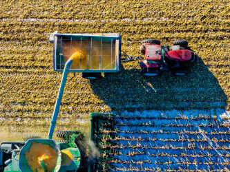 La tutela dell'agroalimentare