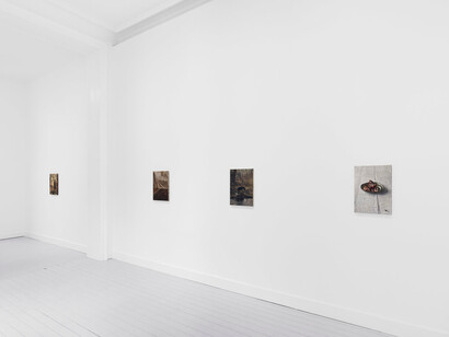 Nicholas Bierk, In the absence of paradise, exhibition view. Courtesy of Gladstone Gallery