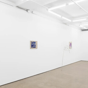 Siobhan Liddell, Going without saying, exhibition view. Courtesy of Gordon Robichaux Gallery