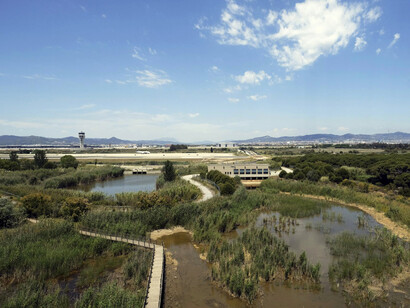 Los expertos destacan el valor de este pequeño humedal por la enorme biodiversidad que concentra