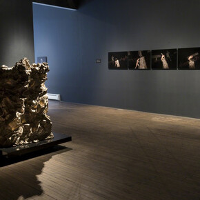 Monumental, Exhibition view. Courtesy of Ronald Feldman Fine Arts