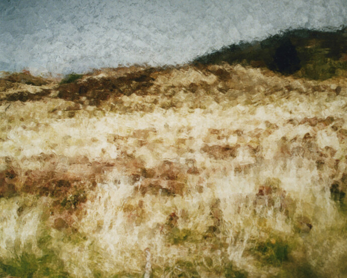Baghir. Courtesy of Galerie Photo12
