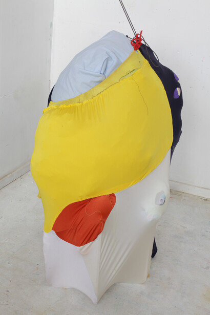Ellen Hyllemose, Untitled, 2015, Lycra, MDF, and various stuffing, 100 x 90 x 80 cm, string variable