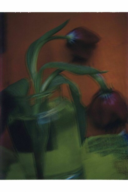 Sarah Moon, Les tulipes, 2003, © Sarah Moon courtesy Michael Hoppen Gallery