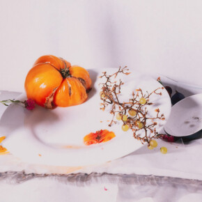 Laura Letinsky, 100 no, 2023. Courtesy of Document Gallery