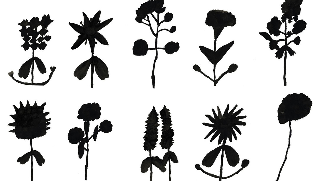 Artworks by Elana Cooper, Flower Power, 2023. Courtesy of Creativity Explored