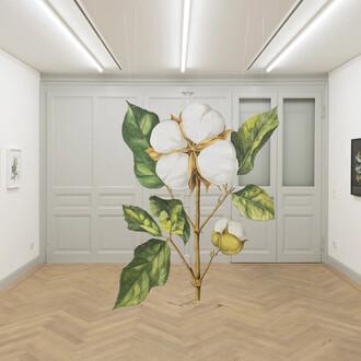 Ishita Chakraborty, I recall the forest inside me, exhibition view. Courtesy of Galerie Peter Kilchmann