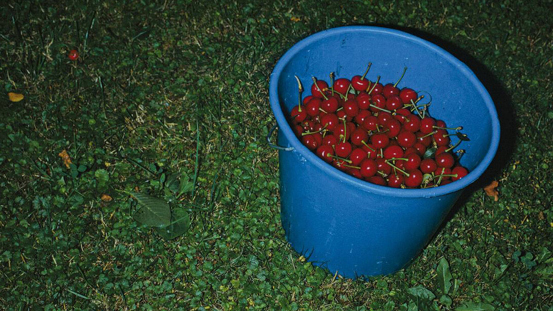 Manfred Willmann. Courtesy of Albertina Museum
