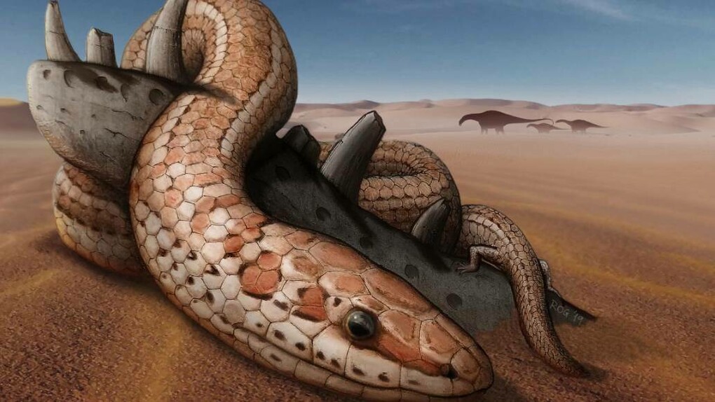 Earth serpent slithering in the desert 
