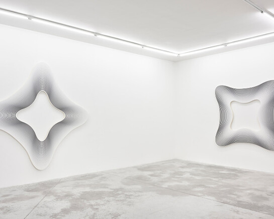 Philippe Decrauzat. Courtesy of Praz-Delavallade