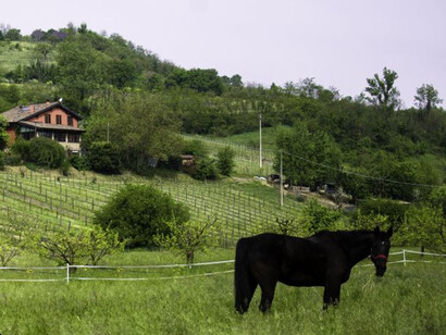 Alla fine del secolo avremo campagne e montagne abbandonate