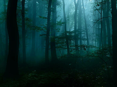 In quest’epoca nera, governato dalla luce del bene è il carro con cui Arjina combatterà 