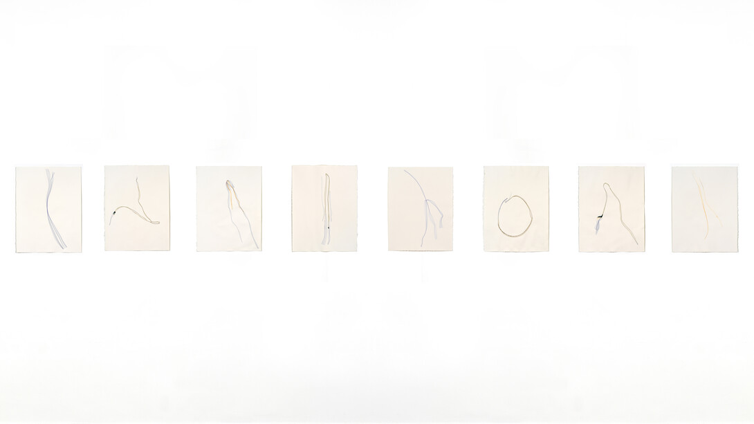 Installazione 8, Untitled Small format, 66x50 cm. 