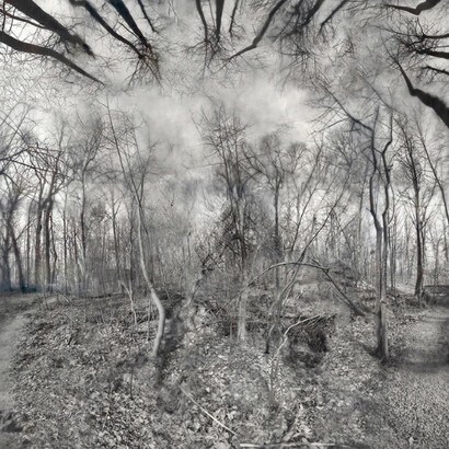 Into the Immense Design of Things. Courtesy of George Lawson Gallery