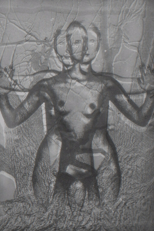 In One's Own Account. Courtesy of Collection Regard