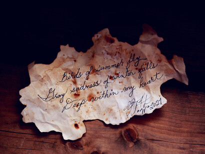 E, enquanto não me descobres, os mundos vão navegando nos ares certos do tempo. Trecho do poema Timidez da autora Cecília Meireles