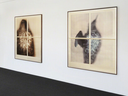 Ann Hamilton, Exhibition view. Courtesy of Gemini G.E.L.