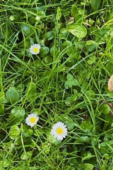 Efímero instante compartido
Un hoy
2023