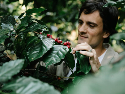 Connecting with nature's bounty, berries are handpicked, revered for their anti-aging antioxidants and skin-enhancing properties