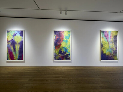 Sam Gilliam, The flow of color, exhibition view. Courtesy of Pace Gallery