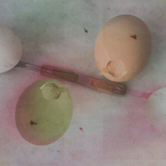 Wolfgang Tillmans. Courtesy of WIELS