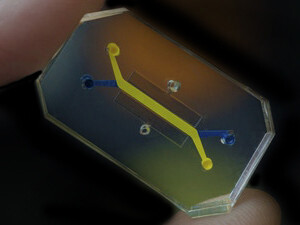 Body on chip, ricostruire la complessità dell’organismo