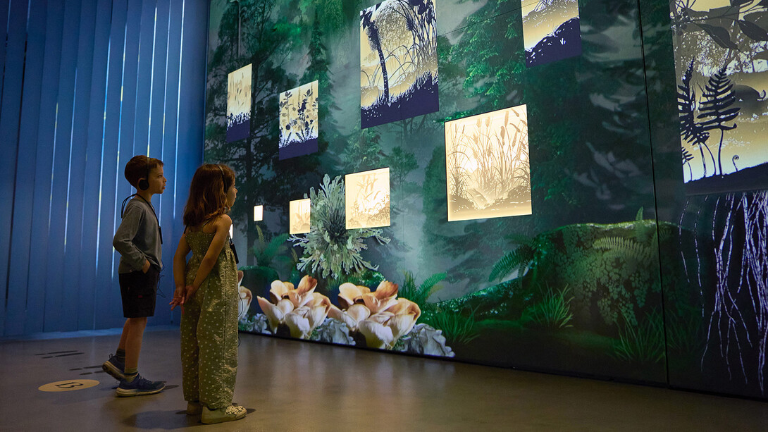 L’homme qui plantait des arbres : un récit immersif, vue de l’exposition. Avec l’aimable autorisation du Canadian Museum of Nature
