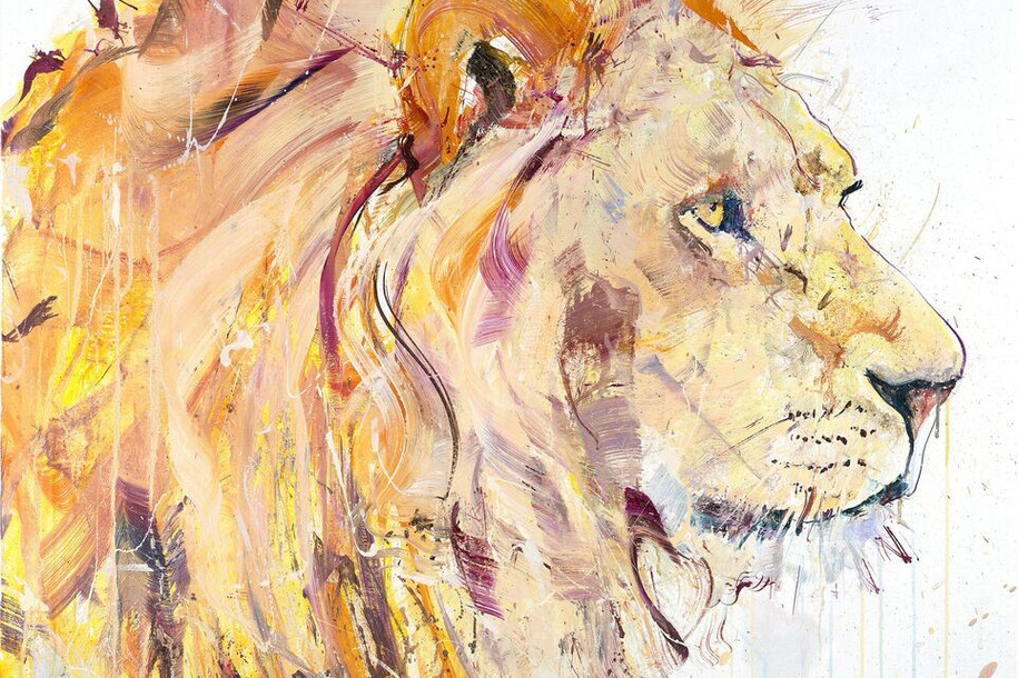 Dave White, Lion