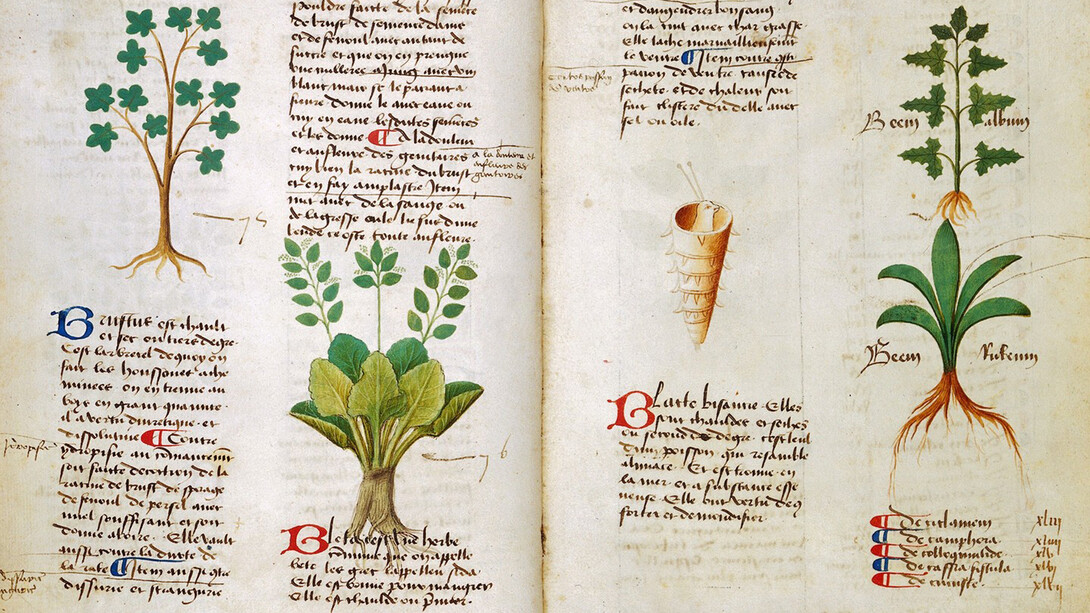 Plateario, Circa instans