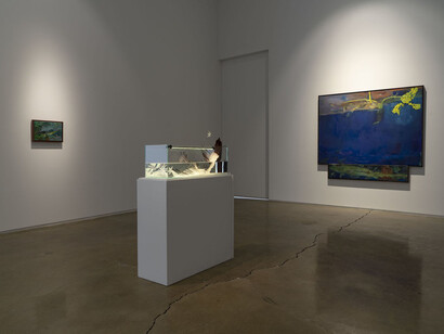 Shiwen Wang, The river returns nothing of what it takes, exhibition view. Courtesy of Michael Kohn Gallery