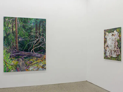 Cecilia Danell, The upside down world, exhibition view. Courtesy of Kevin Kavanagh