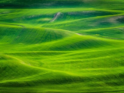 El verde de la naturaleza era antena de retorno con lo humano