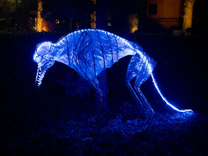 Jacopo Mandich, Jackal Project. Credit Manuela Giusto. Courtesy of Faber art gallery
