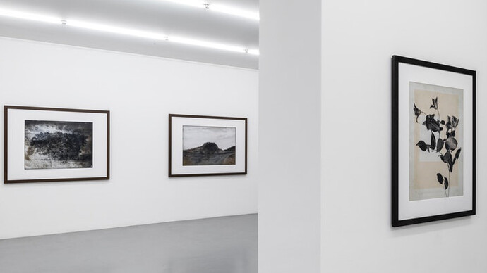 Thomas Ruff. Courtesy of Mai 36 Galerie
