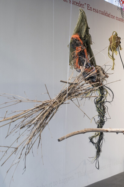 Cecilia Vicuña. Courtesy of Henry Art Gallery