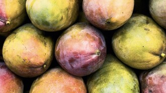  Ce fruit savoureux est devenu un véritable pilier économique pour le pays
