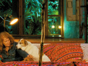 Rosalind Nashashibi: Vivian's Garden. Courtesy of Art Institute of Chicago