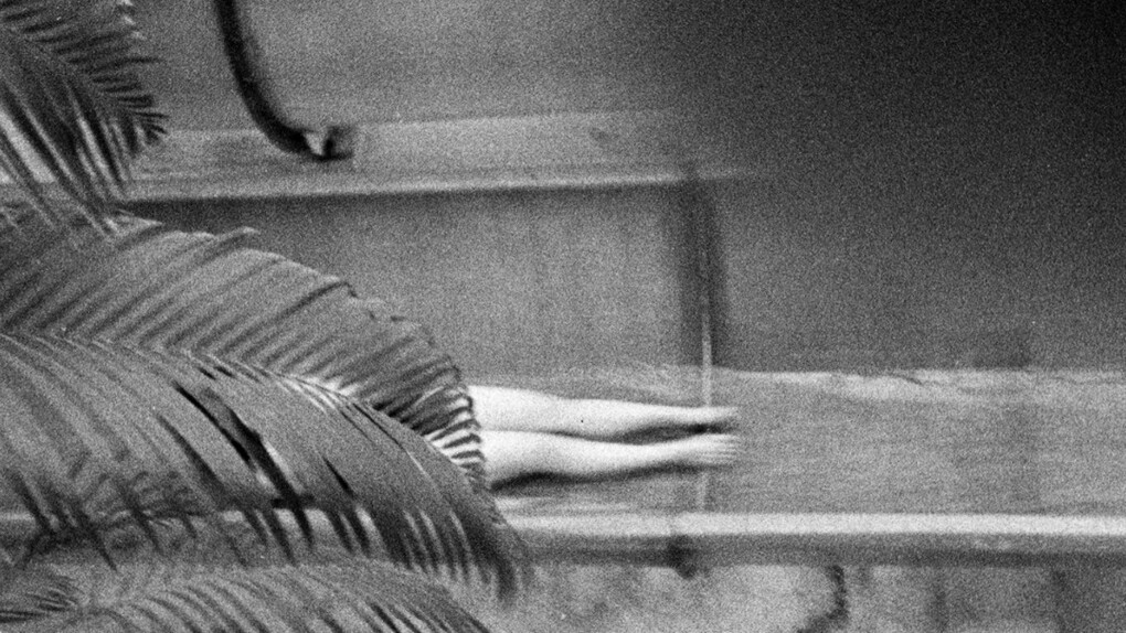 Human Memory. Courtesy of Miyako Yoshinaga