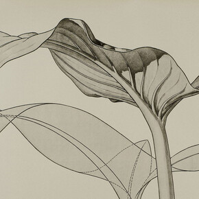 Form Follows Flower. Courtesy of Kunstgewerbemuseum