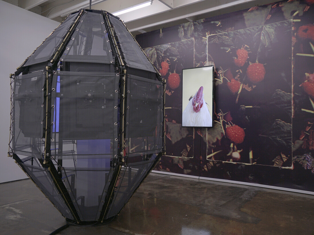 As Always, 2017, installation view, Courtesy of Pari Nadimi Gallery