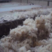 Ella Doran. Courtesy of Yorkshire Sculpture Park