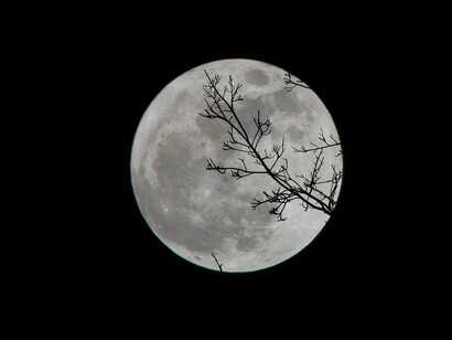 «Luna! Corona de una testa inmensa, 
que te vas deshojando en sombras gualdas!»