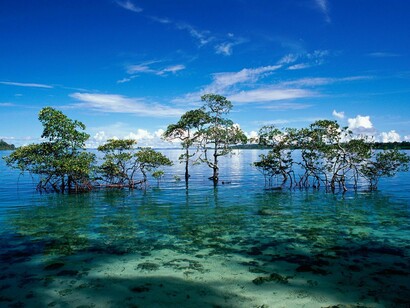 Andaman and Nicobar islands
