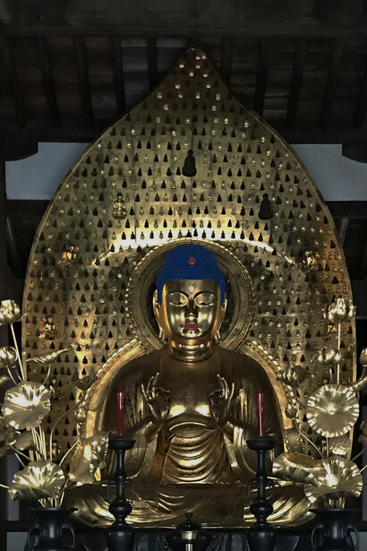 Joshinji Three Buddha Halls © Alma Reyes